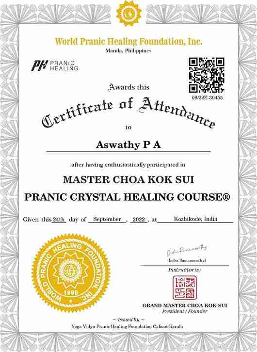 WhatsApp Image 2025-04-29 at 5.20.56 PM (1)_11zon